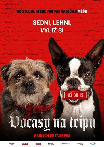 úvodní obrázek